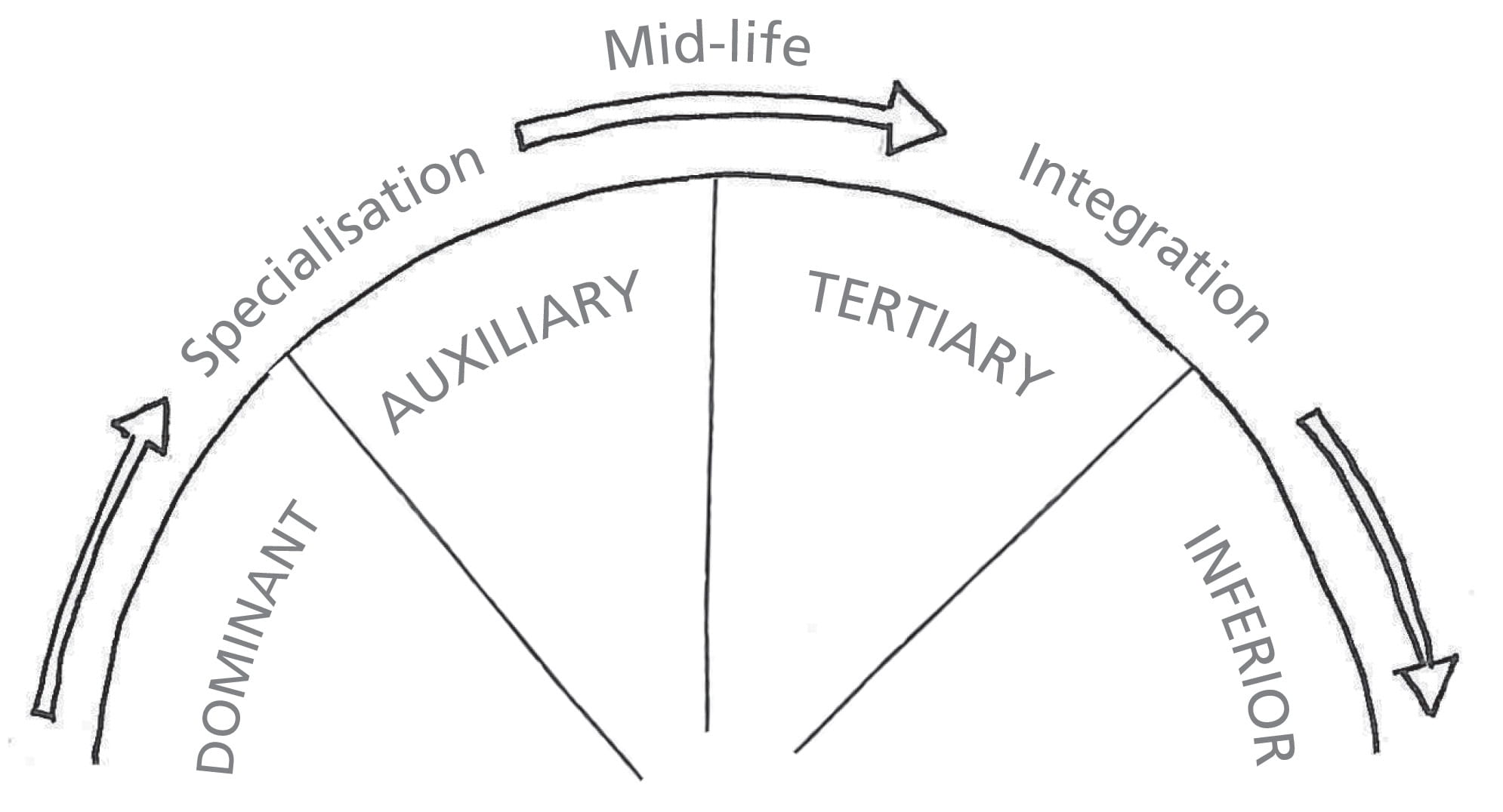 Jung's lifecycle from specialisation to midlife