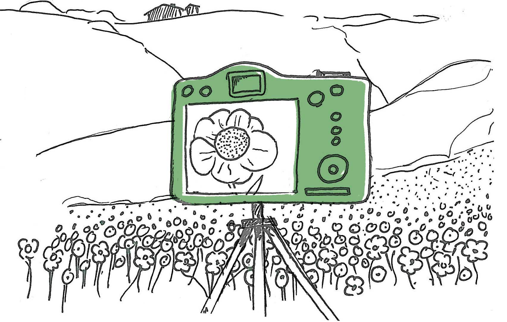 Camera with close-up of flower