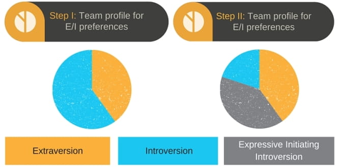 MBTI EI profile make up