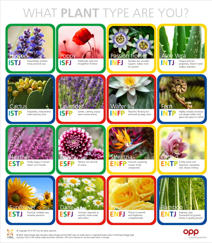 Myers-Briggs Personality Type Flowers