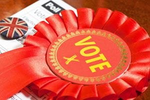 Political party rosette