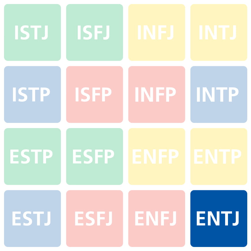 The Myers Briggs ENTJ personality type