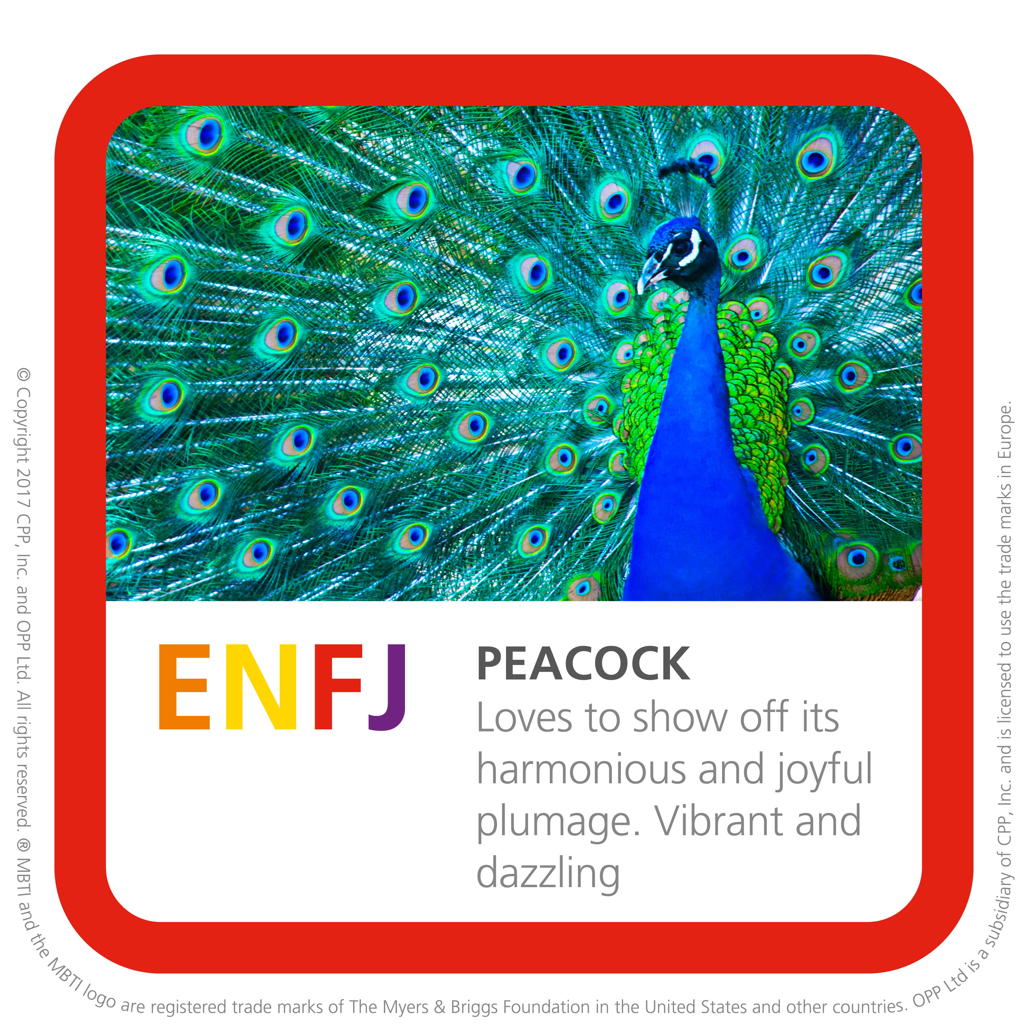 ENFJ