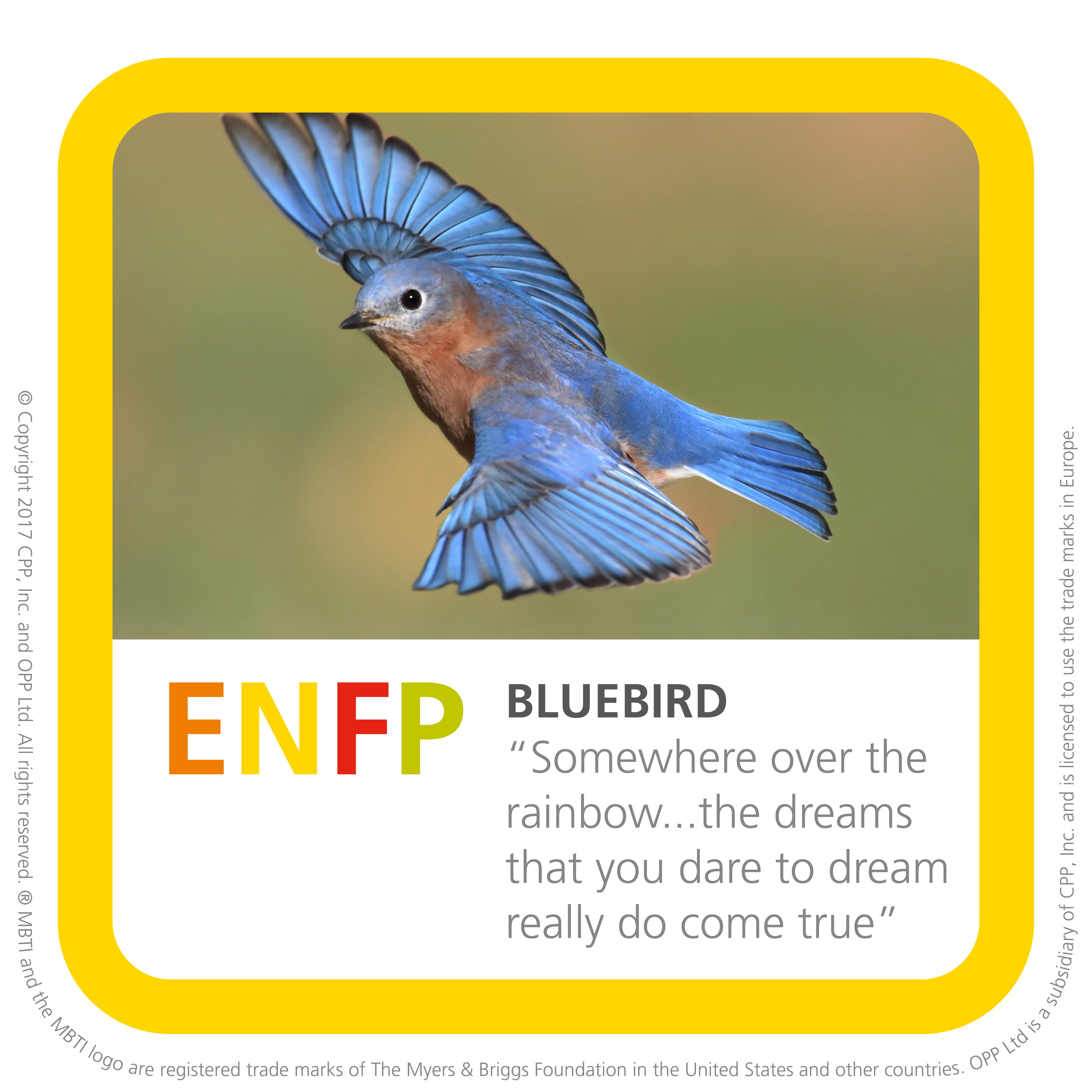 ENFP Personality Profile – Myers Briggs (MBTI) Personality Type