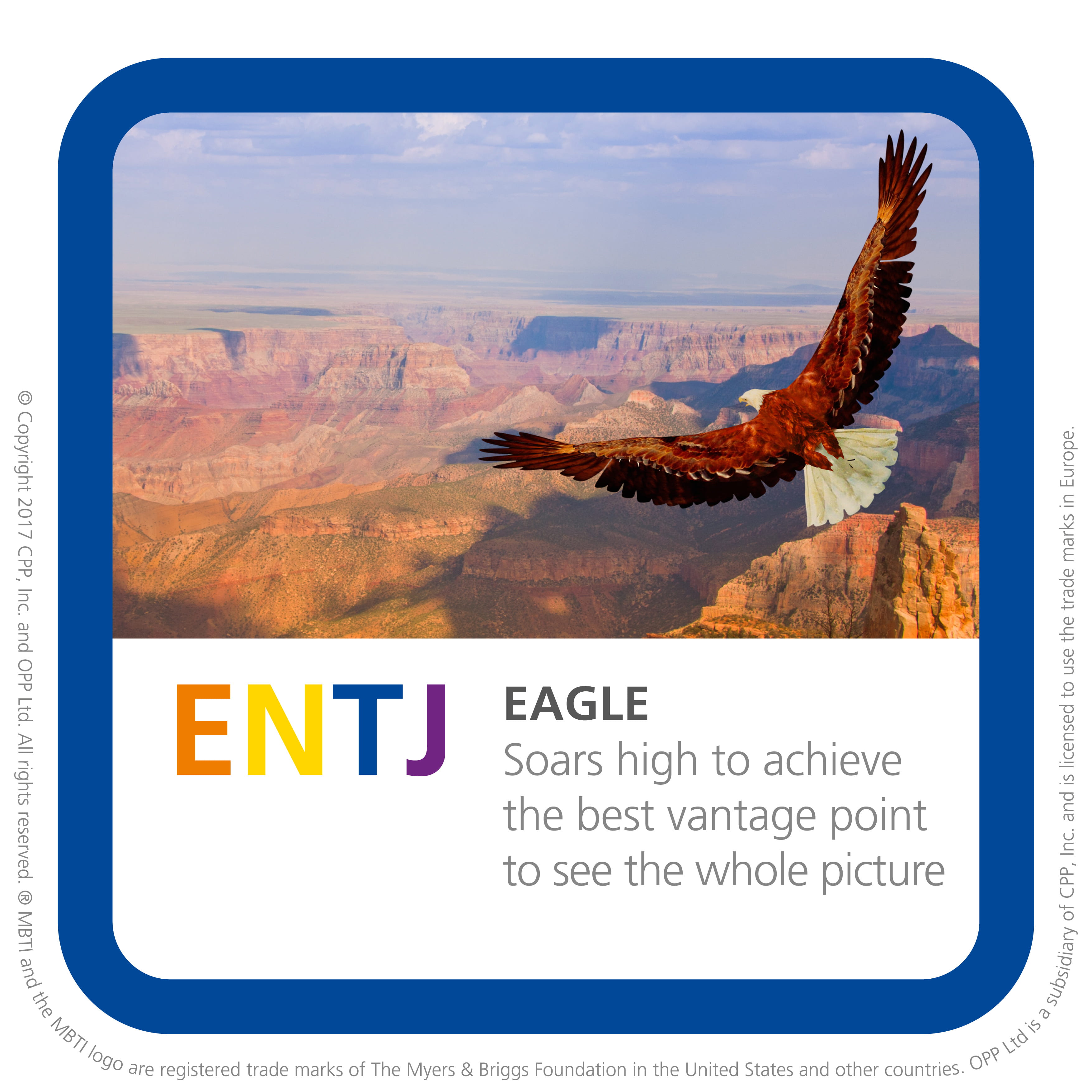 ENTJ Personality Profile – Myers Briggs (MBTI) Personality Types