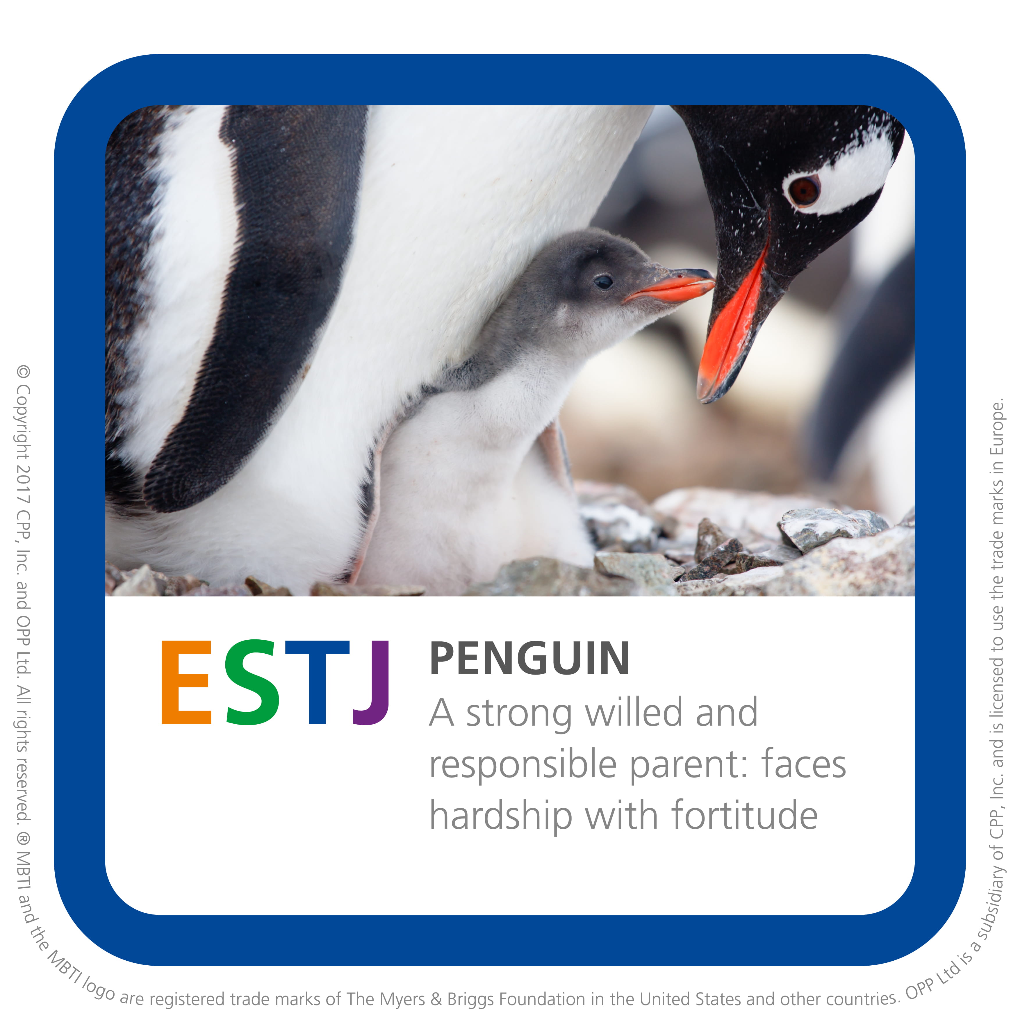 Thor MBTI Personality Type: ESTP or ESTJ?