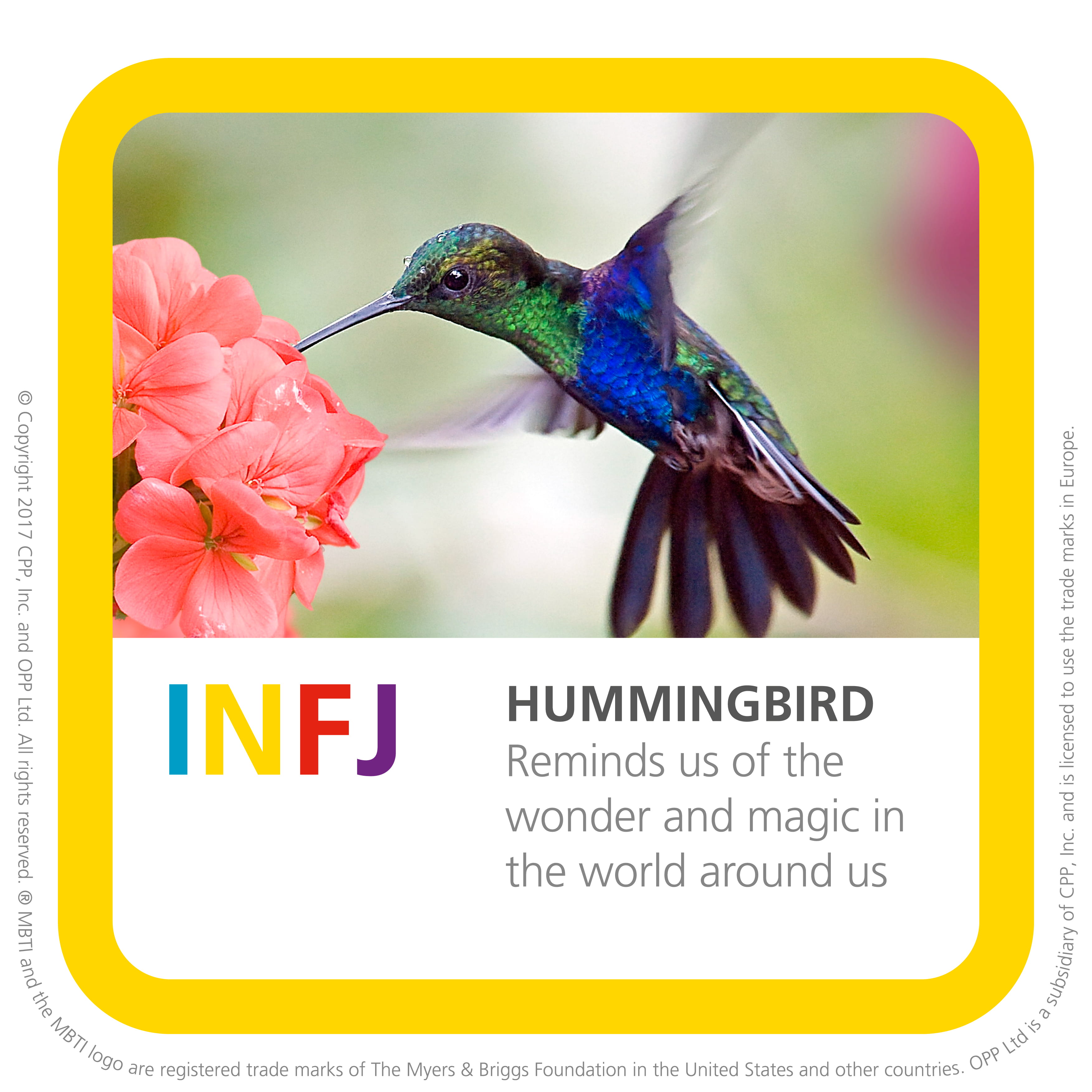 Opila Bird MBTI Personality Type: ISFP or ISFJ?