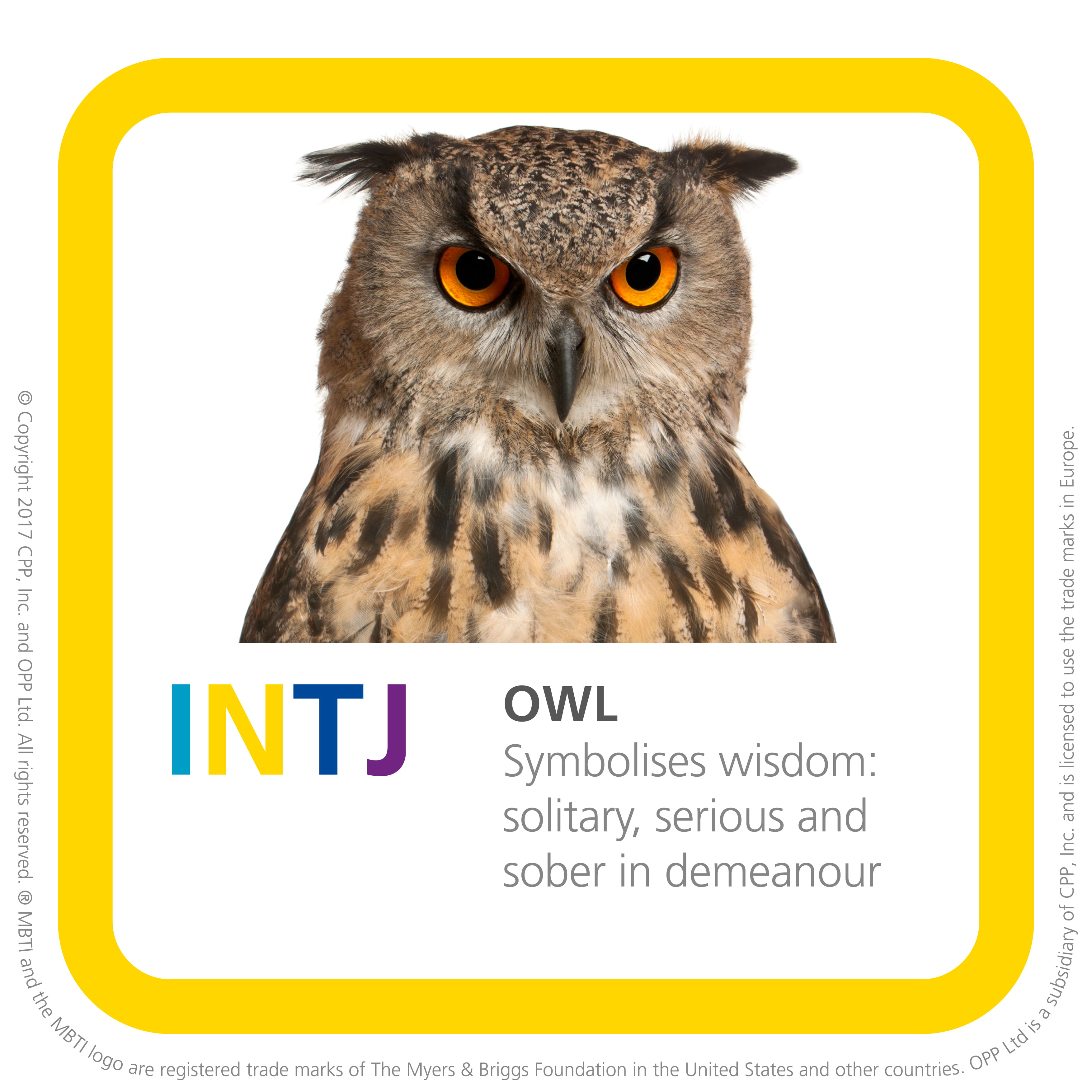 All About the INTJ Personality Type