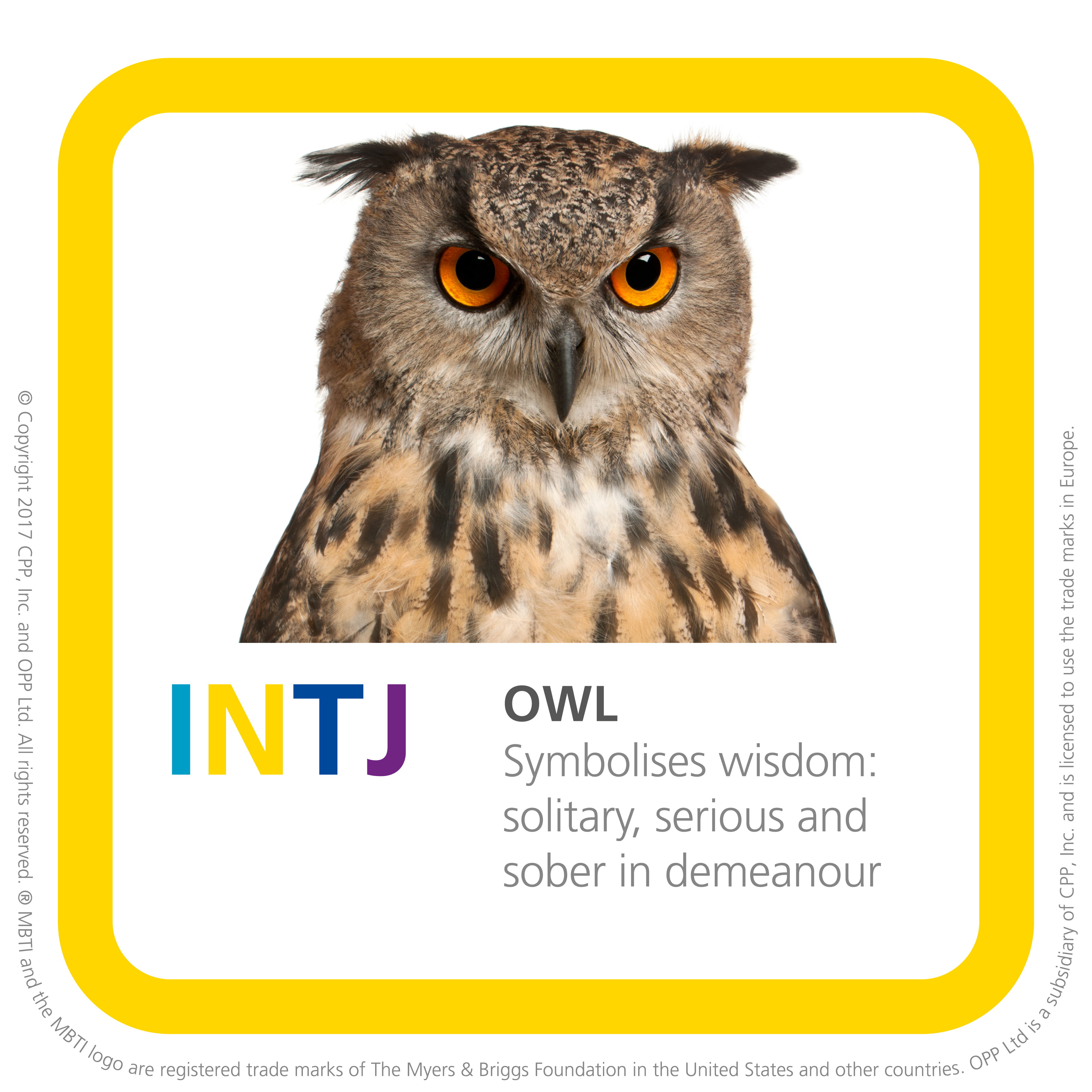Sagyou MBTI Personality Type: INTJ or INTP?