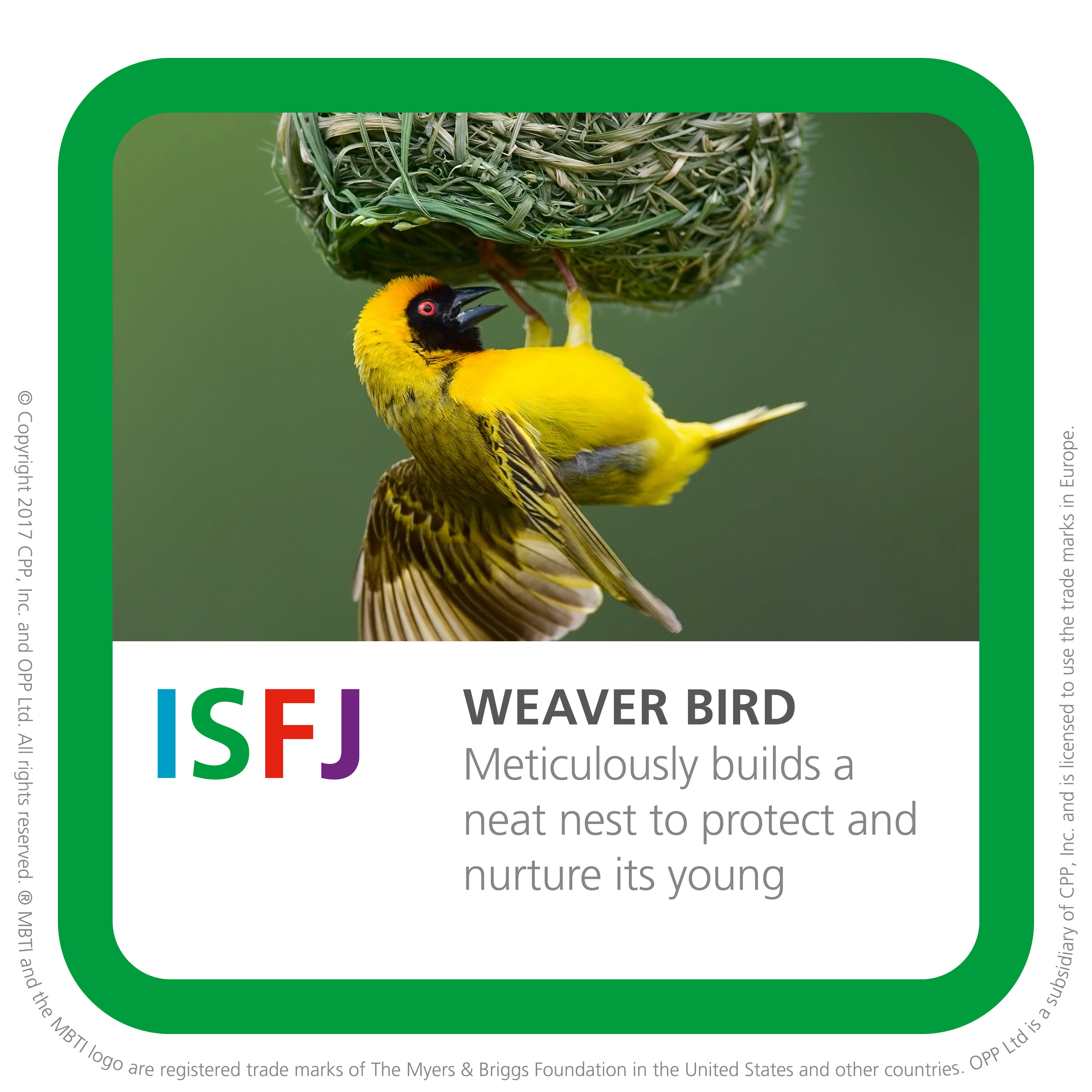 ISFJ personality profile – Myers Briggs (MBTI) personality types