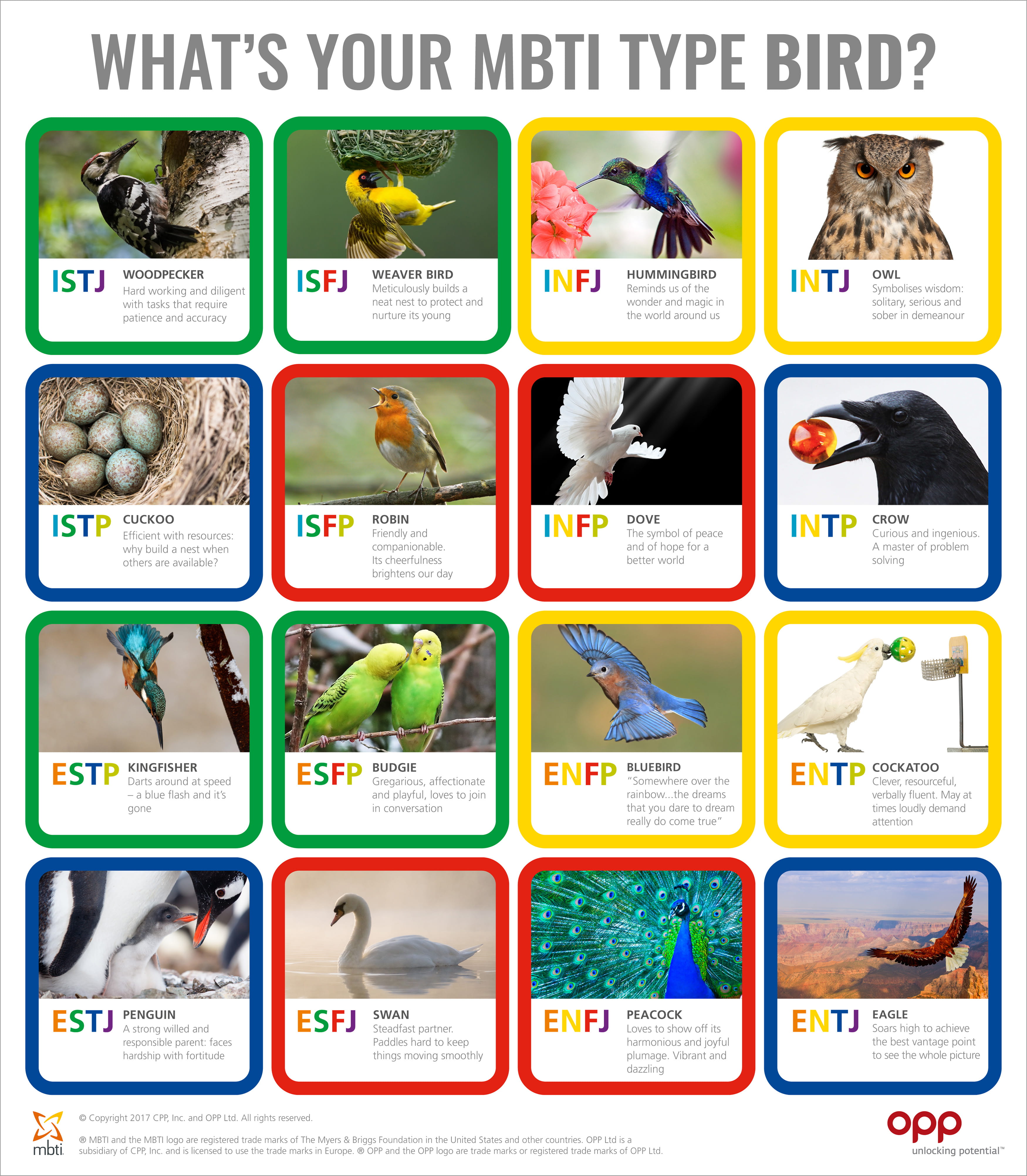 Opila Bird MBTI Personality Type: ISFP or ISFJ?