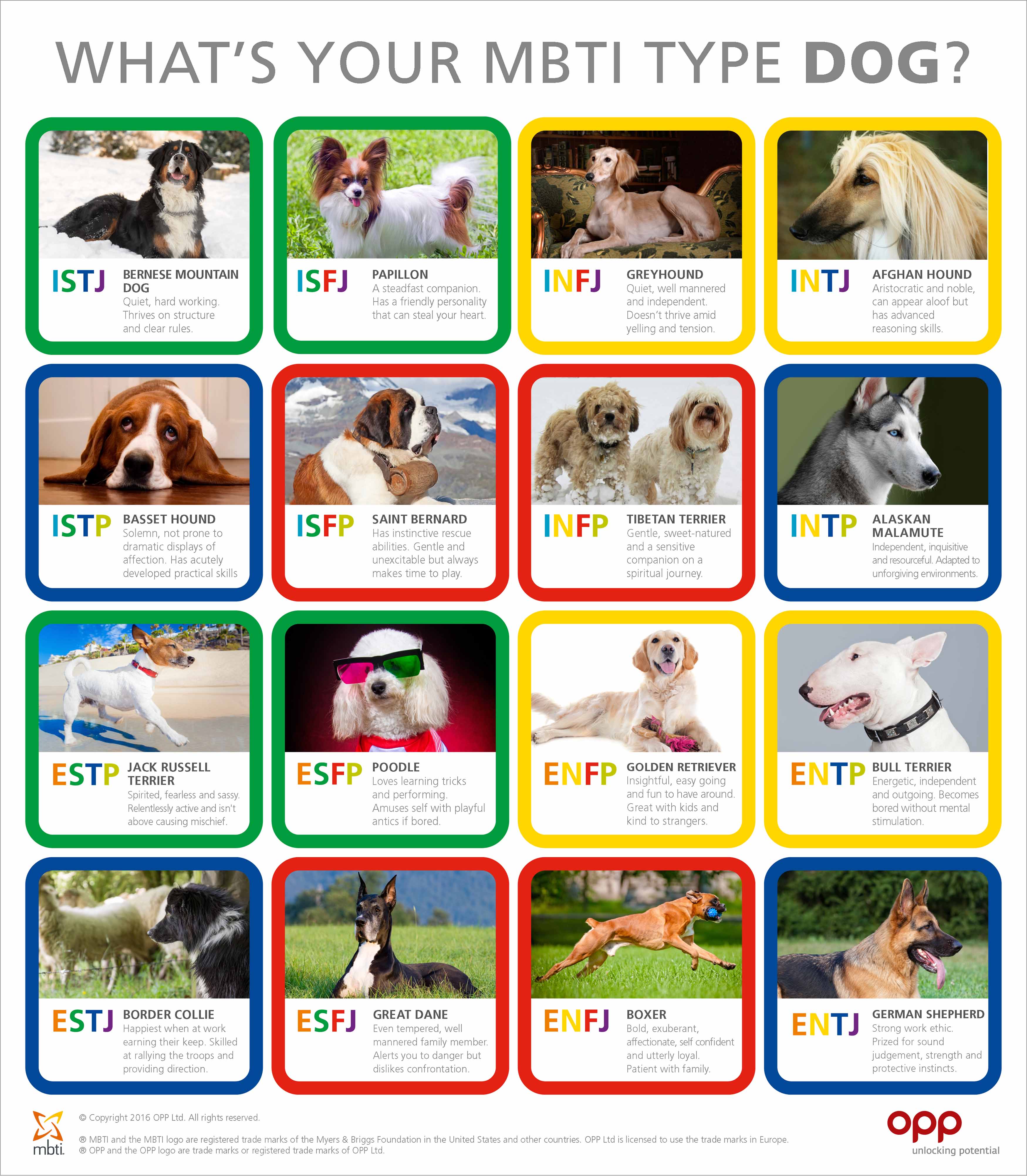 Dog Type table | The Myers-Briggs Company