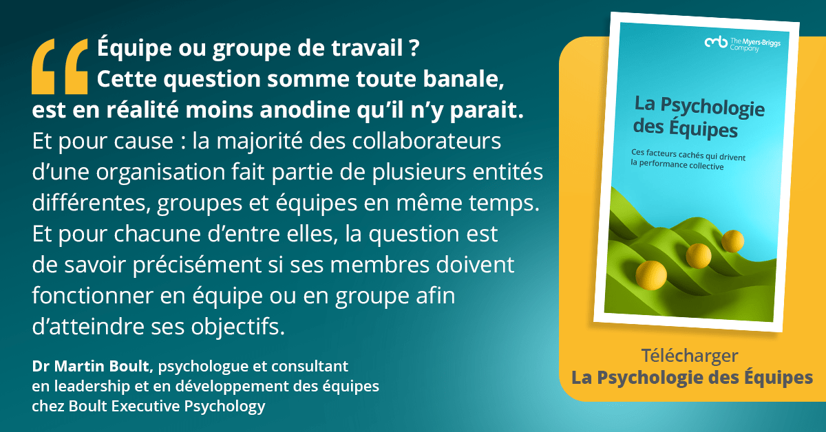 Télécharger La Psychologie des Equipes