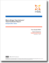 mbti team report cover